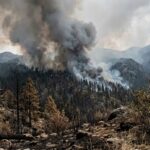 French Wildfires Near Spanish Border Force Mass Evacuations and International Response